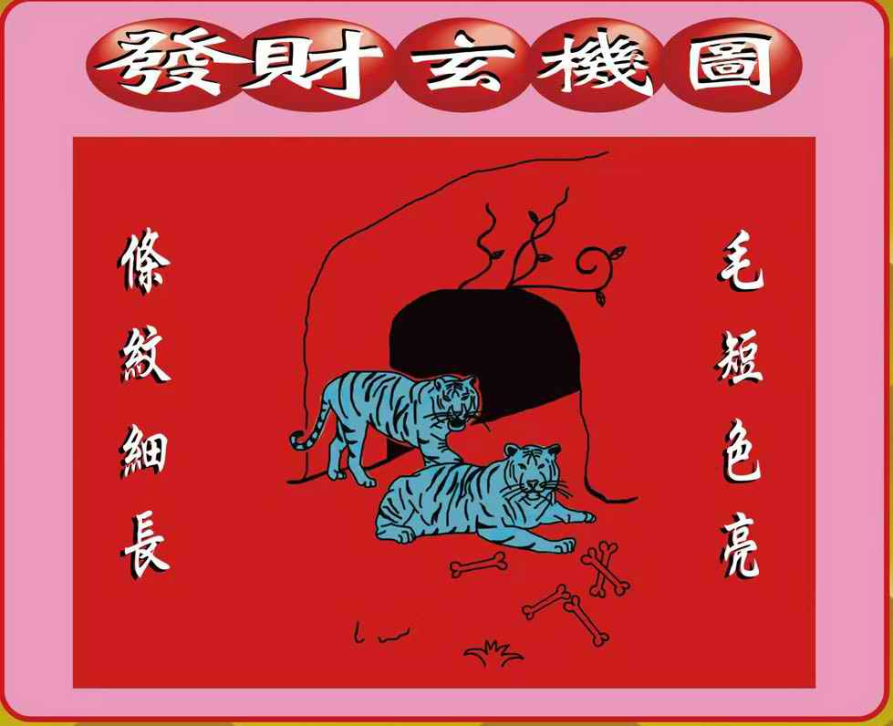 创富波色中特图